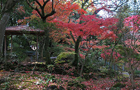 佐野美術館