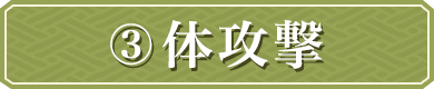 体攻撃