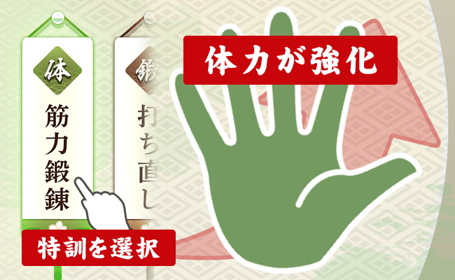 特訓 筋力鍛錬を選択することで体力が強化される