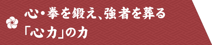 心・拳を鍛え、強者を葬る「心力」の力