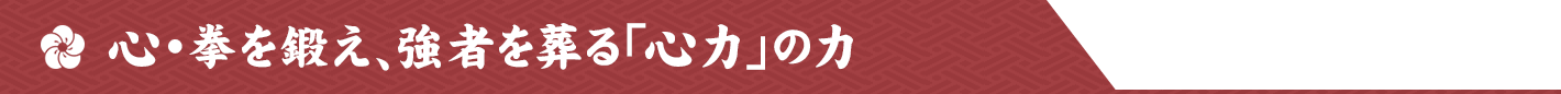 心・拳を鍛え、強者を葬る「心力」の力