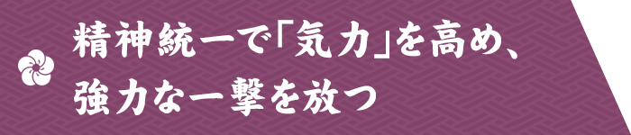 精神統一で「気力」を高め、強力な一撃を放つ
