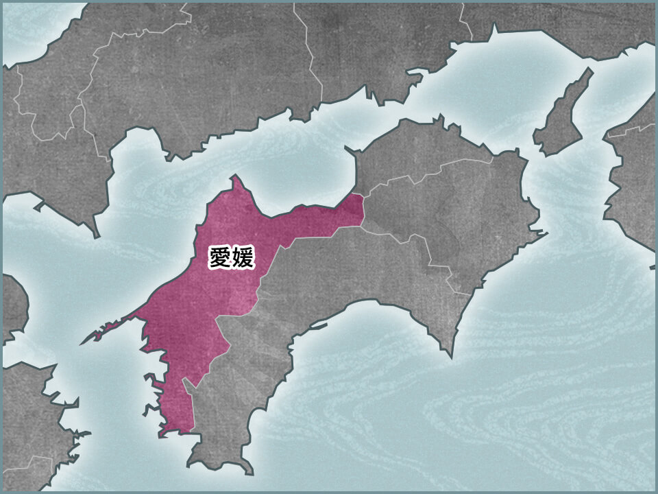愛媛県 地図