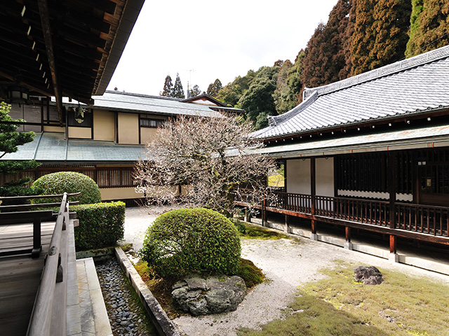西芳寺