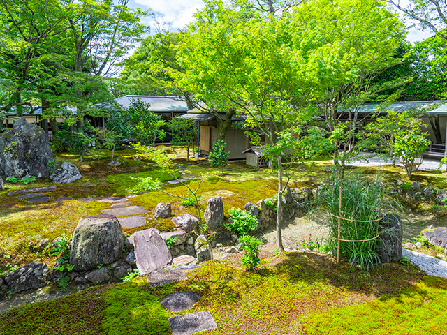 大徳寺 黄梅院