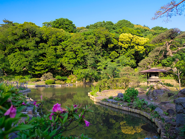 肥後細川庭園