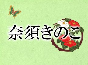 奈須きのこ