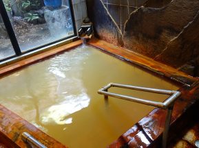 武田信玄の隠し湯
