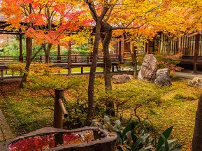 夢窓疎石が作庭した日本庭園