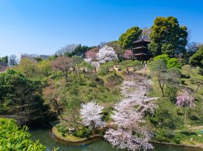 山県有朋が遺した3つの日本庭園