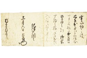徳川頼宣 消息