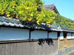 多くの幕末志士を生んだ萩市