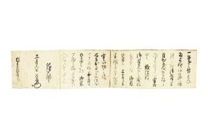徳川頼宣 消息