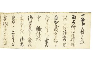 徳川頼宣 消息